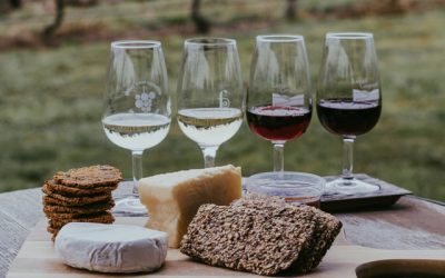 Sejour autour du vin en Provence : pour un voyage gustatif intense !